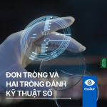 ĐƠN TRÒNG ESSILOR