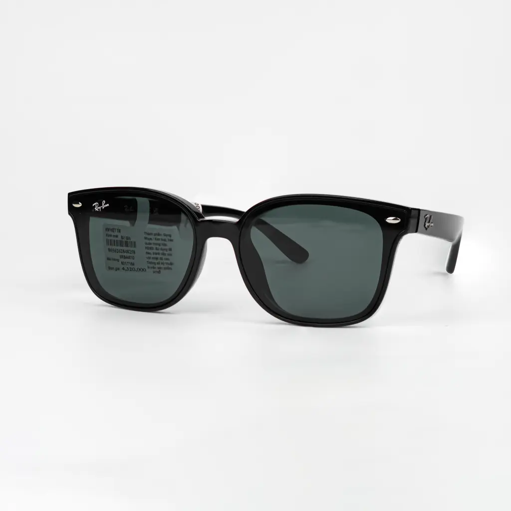 RAYBAN RB4461D